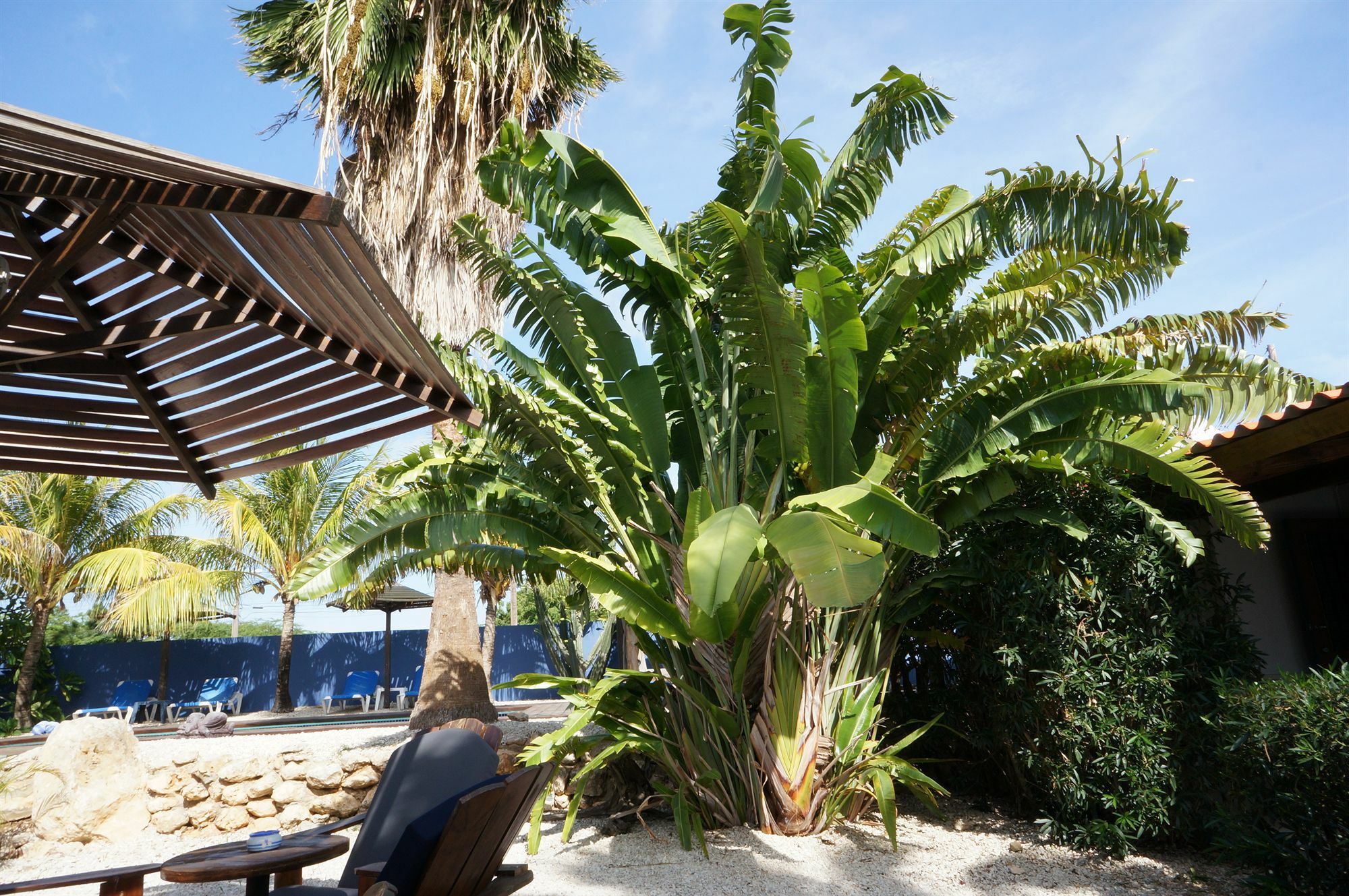Caribbean Chillout Apartments Кралендижк Екстериор снимка